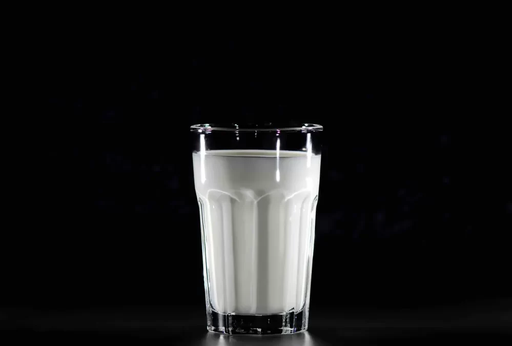 Lait de jument : découvrez ses bienfaits sur votre santé