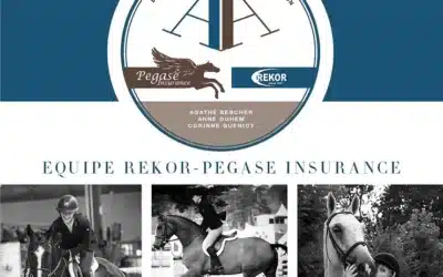{TeamPegaseInsurance} National Style @ Competition
