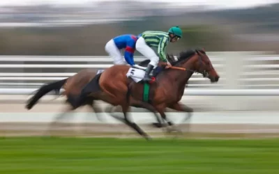 Comment estimer le prix d’un cheval de course : l’analyse de Pegase Insurance