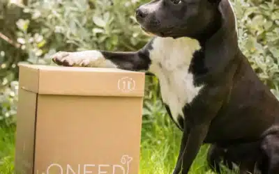Bien nourrir son chien : présentation de la marque Oneed par Lory Gonzalez