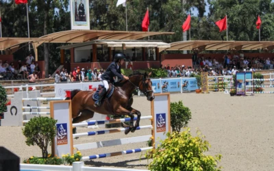 Comment assurer mon poney ?