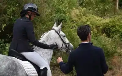 Guide complet sur l’assurance pour moniteur d’équitation indépendant ?